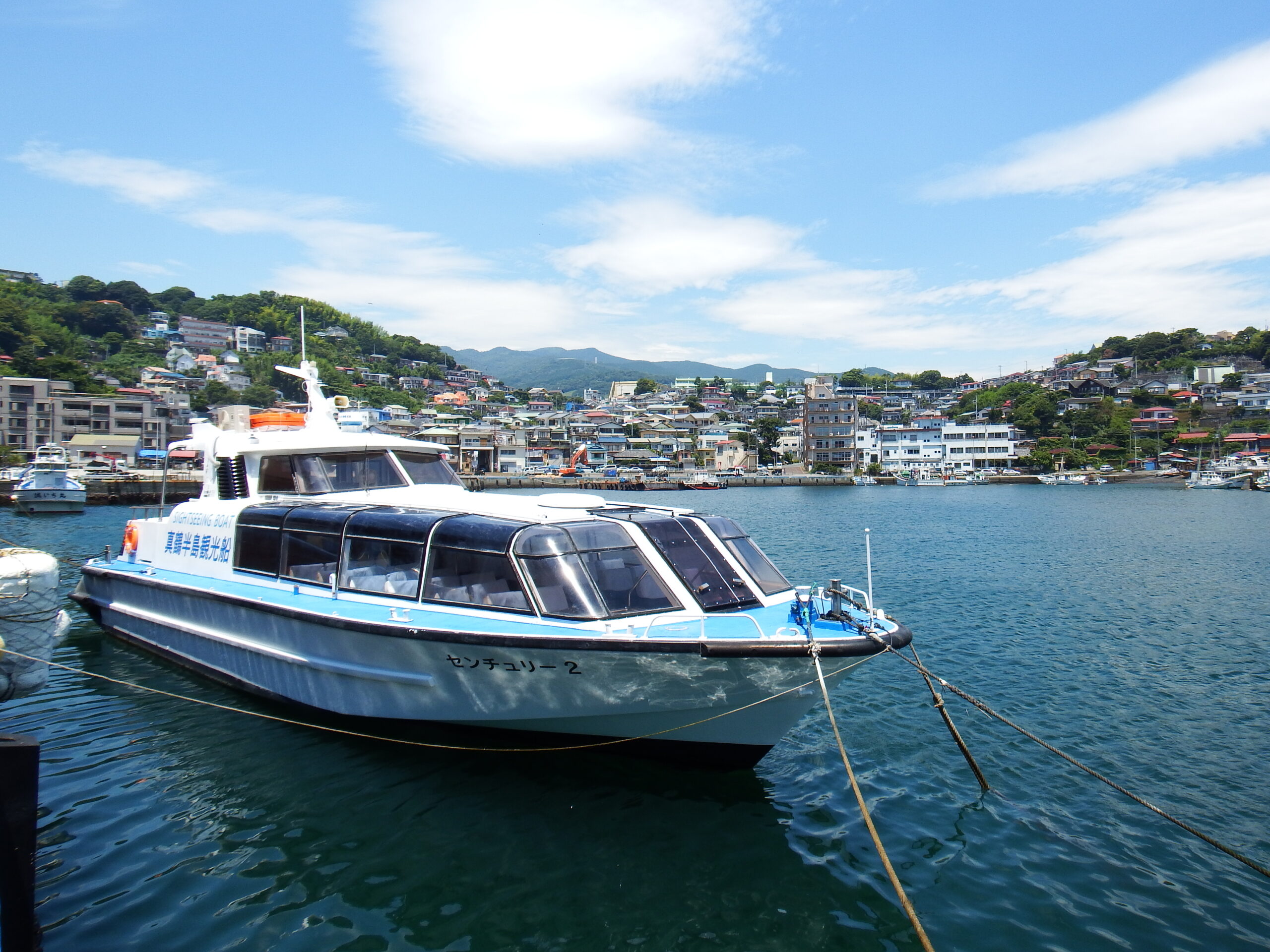 真鶴 半島 遊覧 船