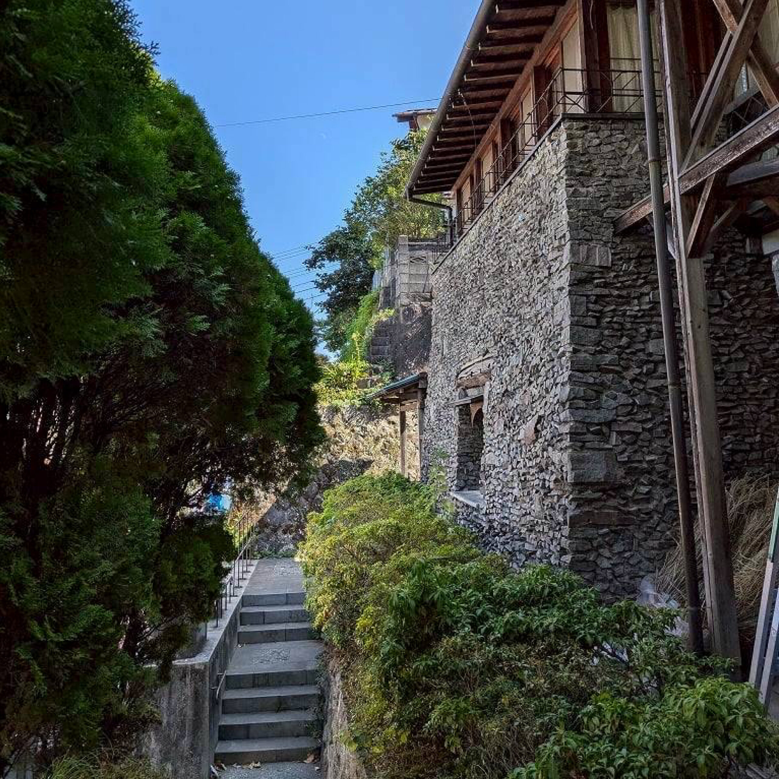 「美の基準」をめぐる | 背戸道を歩き、真鶴の「美」に出会う旅