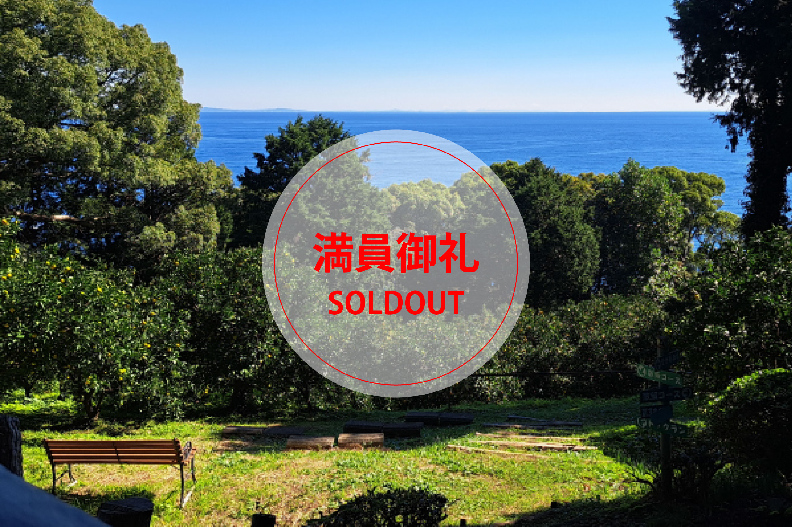 【満員御礼】真鶴でみかんの花と香りにつつまれる旅