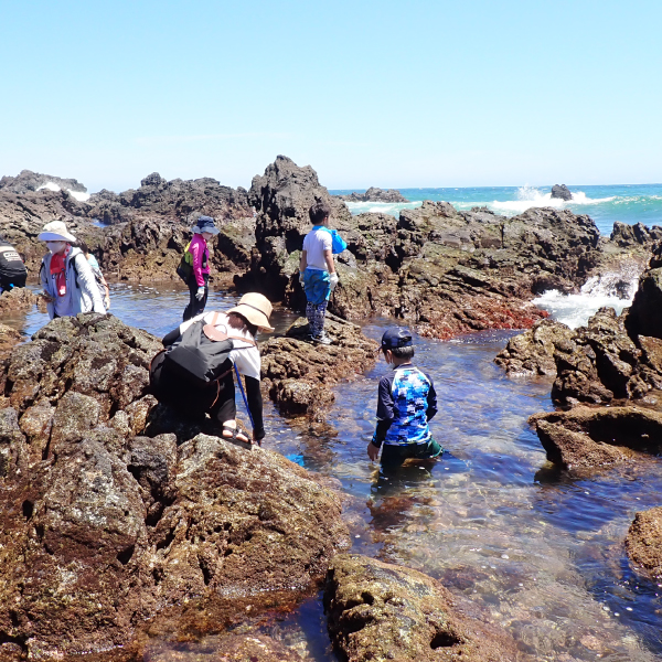 真鶴の海の生物多様性と港町の暮らしにふれあう旅